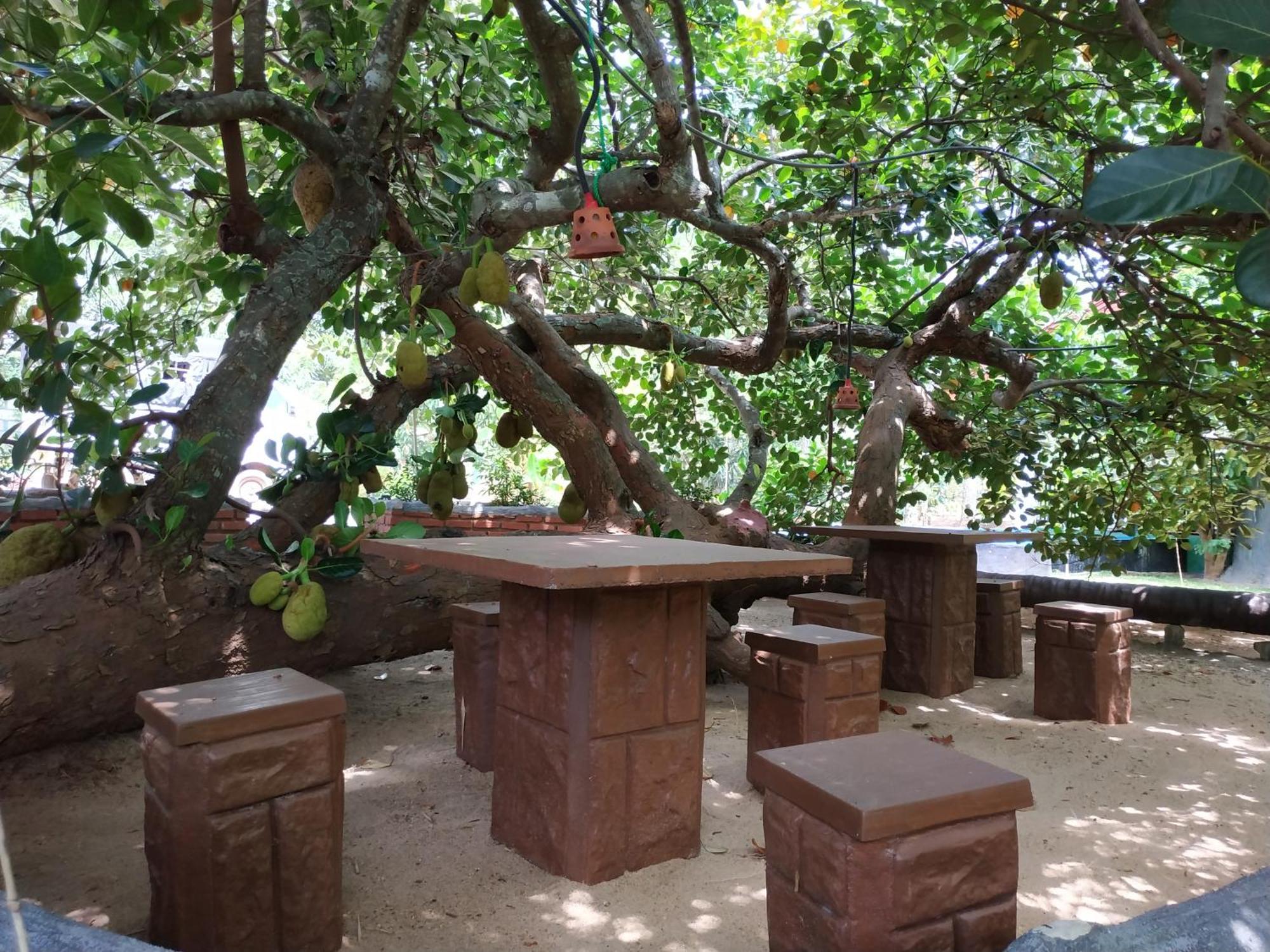 Sigiriya Cashew Palace Resort Daganapothaha Ngoại thất bức ảnh