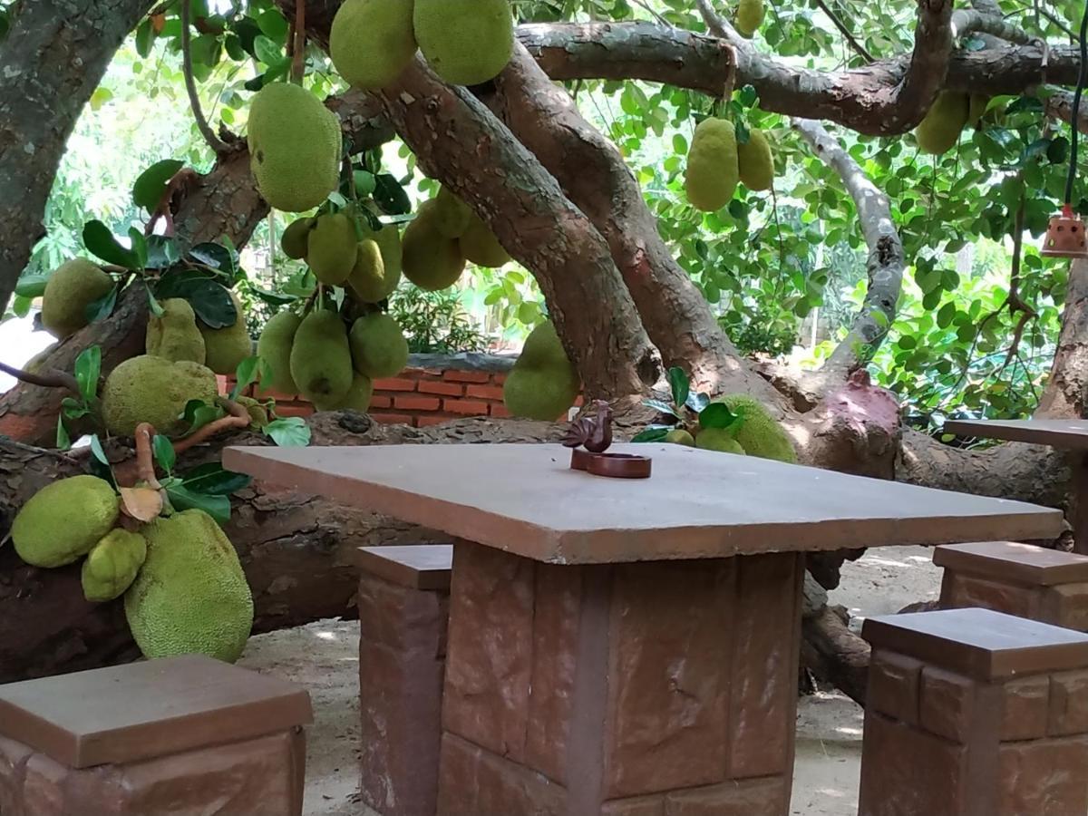 Sigiriya Cashew Palace Resort Daganapothaha Ngoại thất bức ảnh