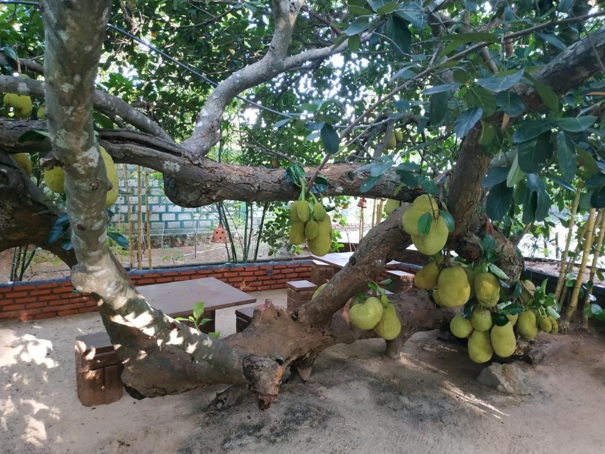 Sigiriya Cashew Palace Resort Daganapothaha Ngoại thất bức ảnh