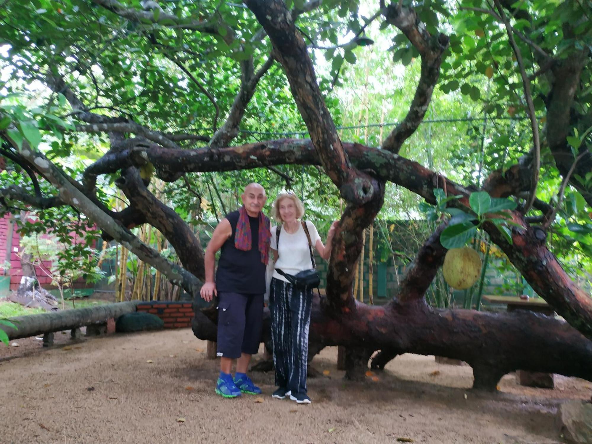 Sigiriya Cashew Palace Resort Daganapothaha Ngoại thất bức ảnh