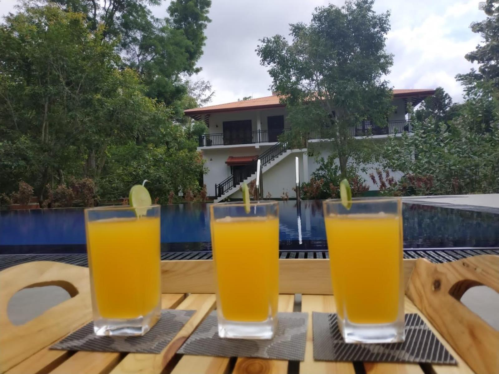 Sigiriya Cashew Palace Resort Daganapothaha Ngoại thất bức ảnh